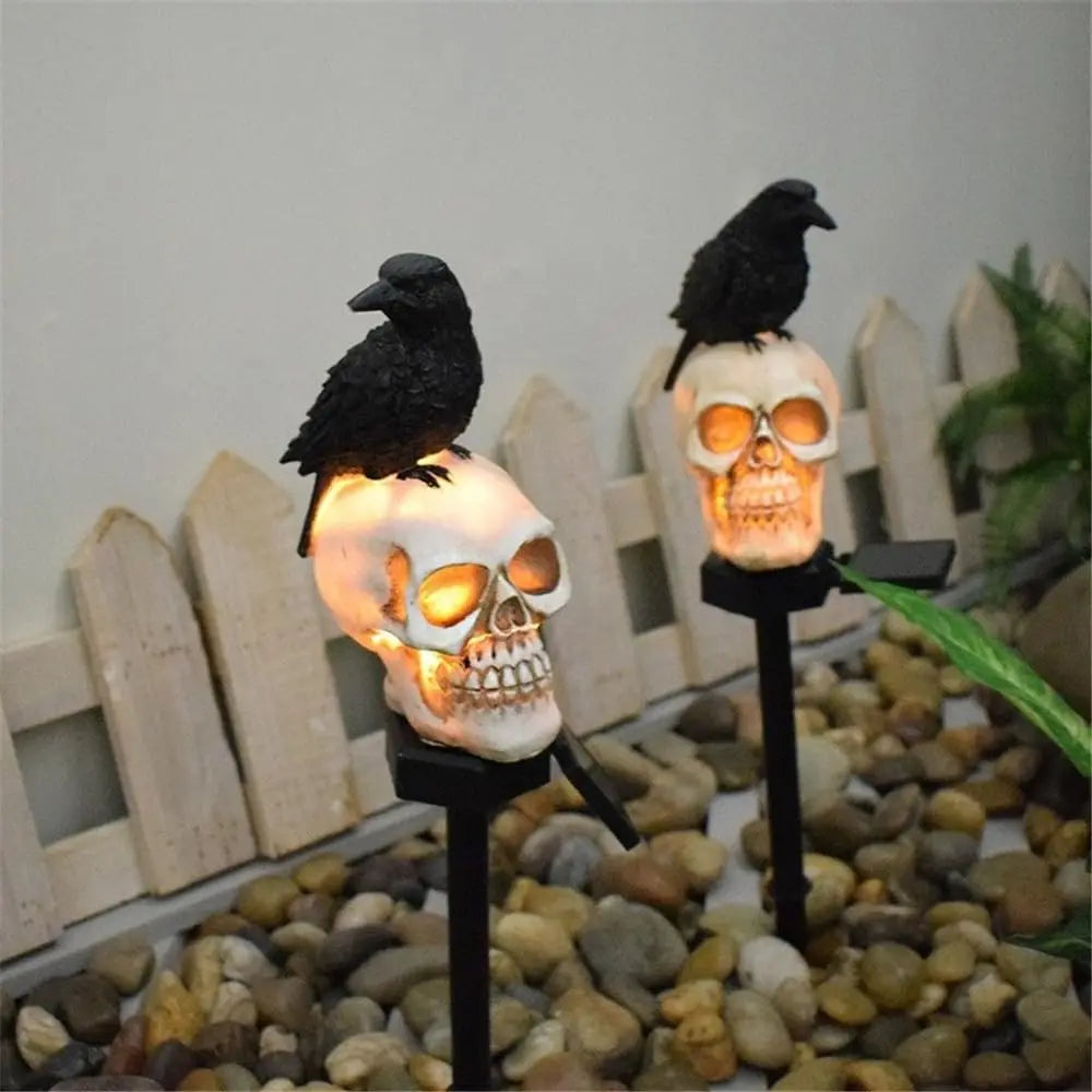 Solar skull with Crow