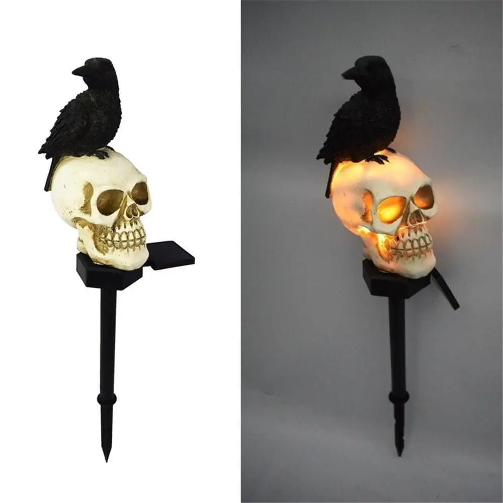 Solar skull with Crow