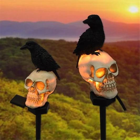 Solar skull with Crow